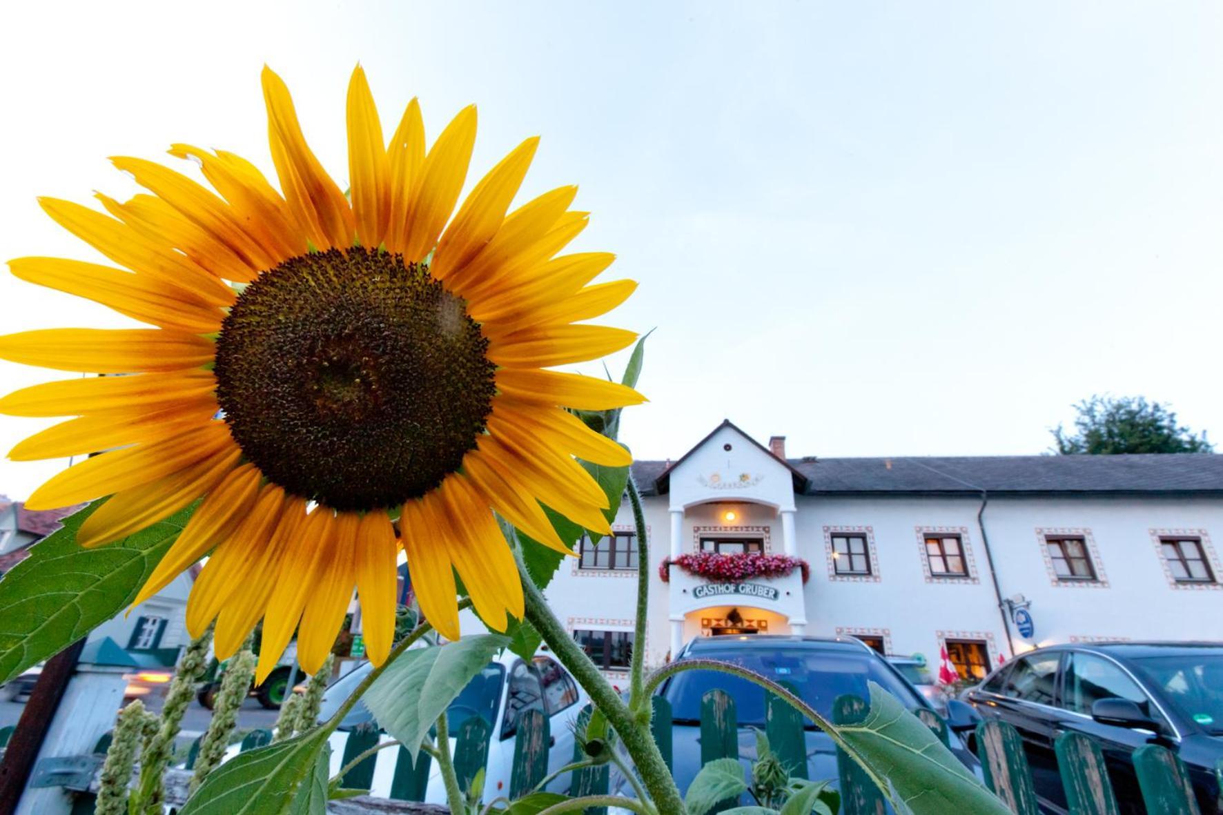 Gasthof Siegfried Gruber Hartmannsdorf Exterior foto